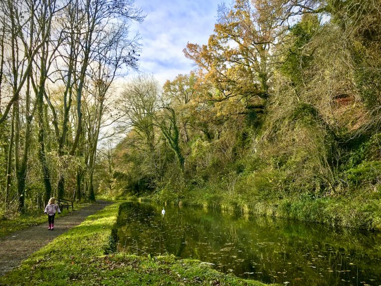 Young girl and swan along canal near Bradford on Avon