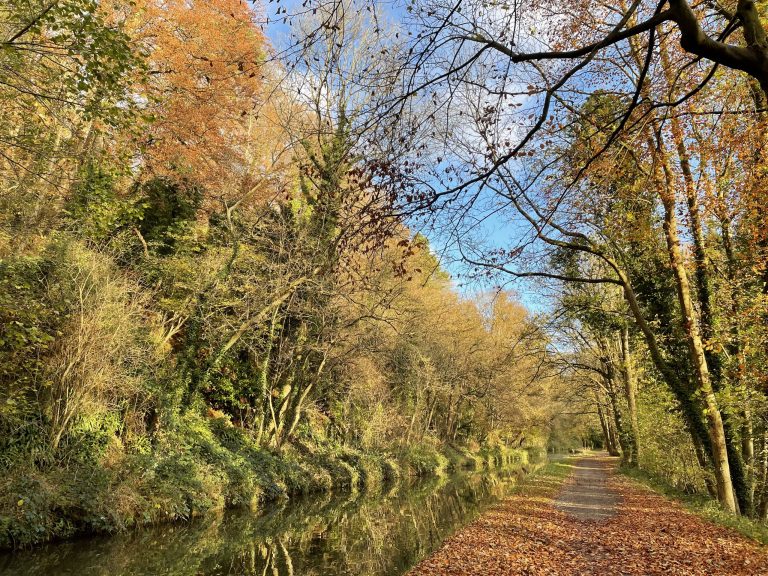 Avon and Kennet Canal in the Autumn